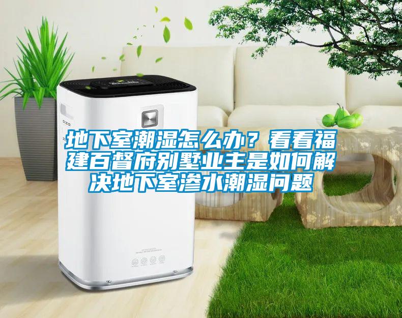 地下室潮濕怎么辦？看看福建百督府別墅業主是如何解決地下室滲水潮濕問題