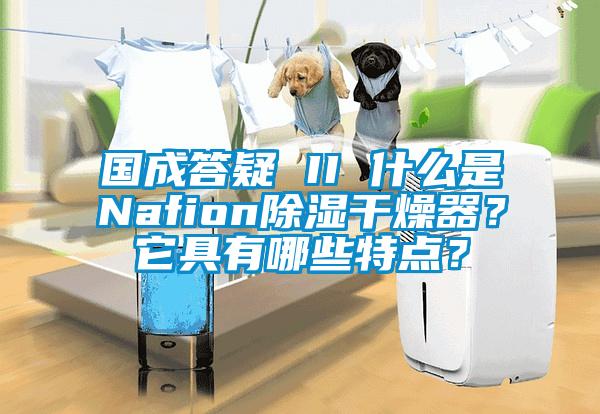 國成答疑 II 什么是Nafion除濕干燥器？它具有哪些特點？
