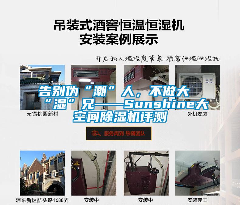 告別偽“潮”人，不做大“濕”兄——Sunshine大空間除濕機評測