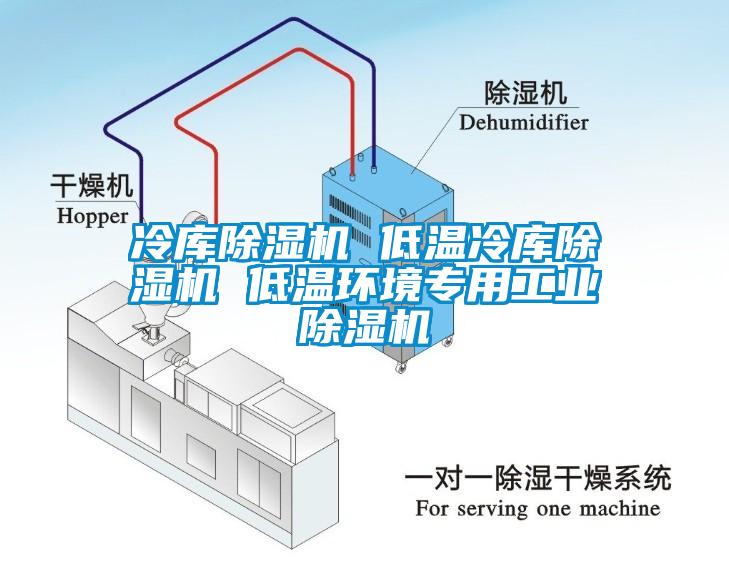 冷庫(kù)除濕機(jī) 低溫冷庫(kù)除濕機(jī) 低溫環(huán)境專用工業(yè)除濕機(jī)