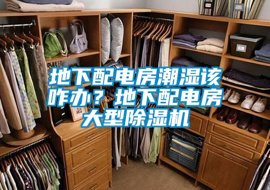 地下配電房潮濕該咋辦？地下配電房大型除濕機(jī)