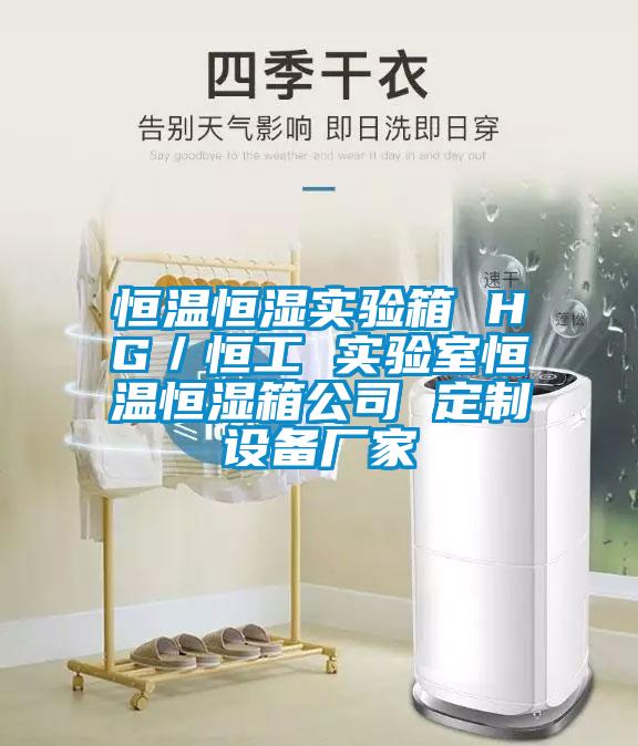 恒溫恒濕實(shí)驗(yàn)箱 HG／恒工 實(shí)驗(yàn)室恒溫恒濕箱公司 定制設(shè)備廠(chǎng)家