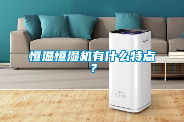 恒溫恒濕機有什么特點？
