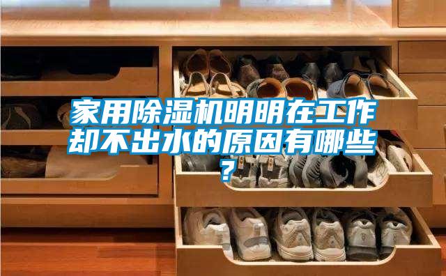 家用除濕機明明在工作卻不出水的原因有哪些？