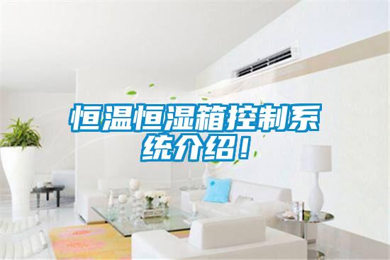 恒溫恒濕箱控制系統介紹！