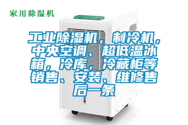 工業(yè)除濕機，制冷機，中央空調(diào)、超低溫冰箱，冷庫，冷藏柜等銷售、安裝、維修售后一條