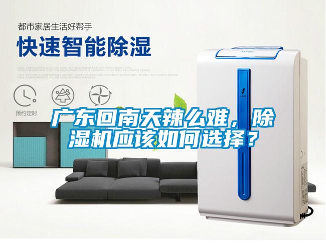 廣東回南天辣么難，除濕機應該如何選擇？