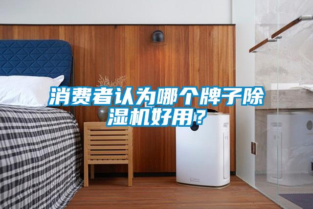 消費者認為哪個牌子除濕機好用？