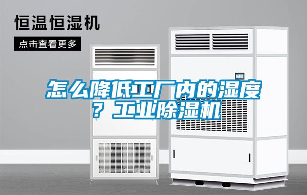 怎么降低工廠內的濕度？工業除濕機