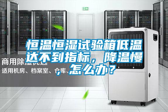 恒溫恒濕試驗(yàn)箱低溫達(dá)不到指標(biāo)，降溫慢，怎么辦？
