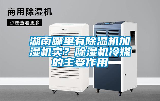 湖南哪里有除濕機加濕機賣？除濕機冷媒的主要作用