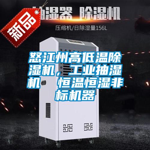 怒江州高低溫除濕機，工業抽濕機  恒溫恒濕非標機器