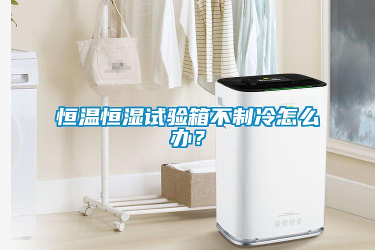 恒溫恒濕試驗(yàn)箱不制冷怎么辦？