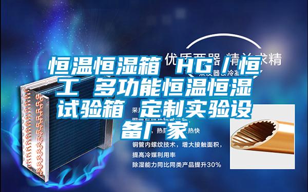 恒溫恒濕箱 HG／恒工 多功能恒溫恒濕試驗箱 定制實驗設(shè)備廠家