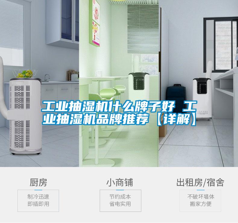工業(yè)抽濕機(jī)什么牌子好 工業(yè)抽濕機(jī)品牌推薦【詳解】
