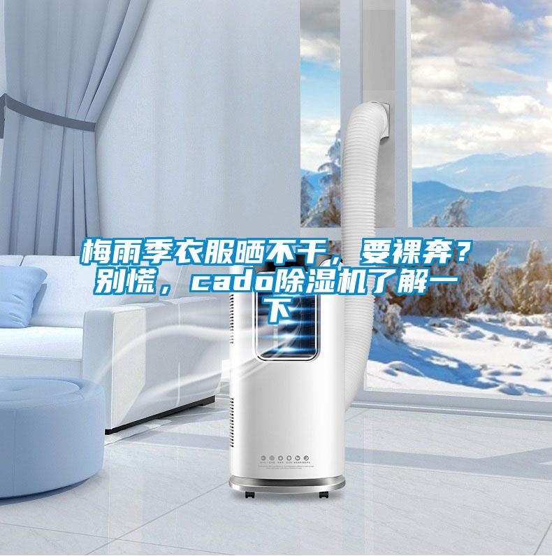 梅雨季衣服曬不干，要裸奔？別慌，cado除濕機(jī)了解一下