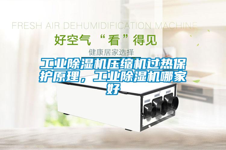 工業除濕機壓縮機過熱保護原理，工業除濕機哪家好