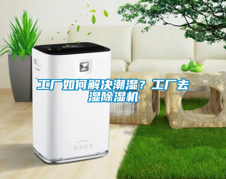 工廠如何解決潮濕？工廠去濕除濕機