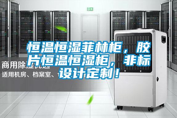 恒溫恒濕菲林柜，膠片恒溫恒濕柜，非標設計定制！