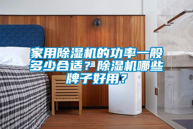 家用除濕機的功率一般多少合適？除濕機哪些牌子好用？