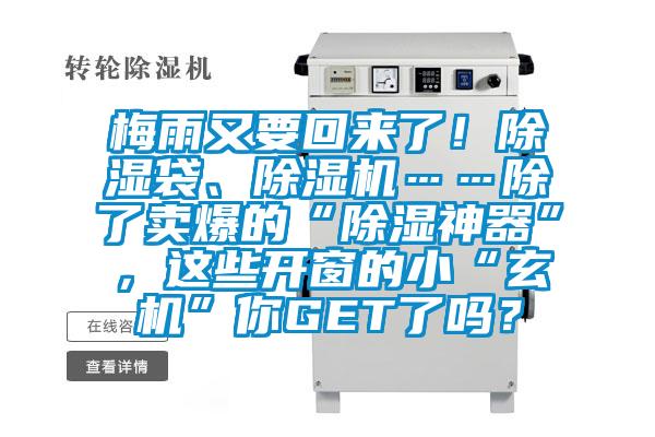 梅雨又要回來了！除濕袋、除濕機……除了賣爆的“除濕神器”，這些開窗的小“玄機”你GET了嗎？