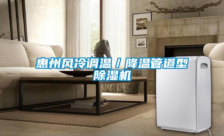 惠州風冷調溫／降溫管道型除濕機
