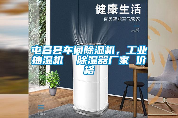 屯昌縣車間除濕機，工業抽濕機  除濕器廠家 價格