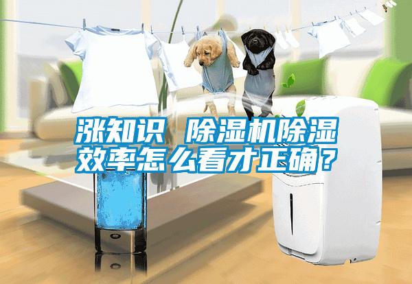 漲知識 除濕機除濕效率怎么看才正確？