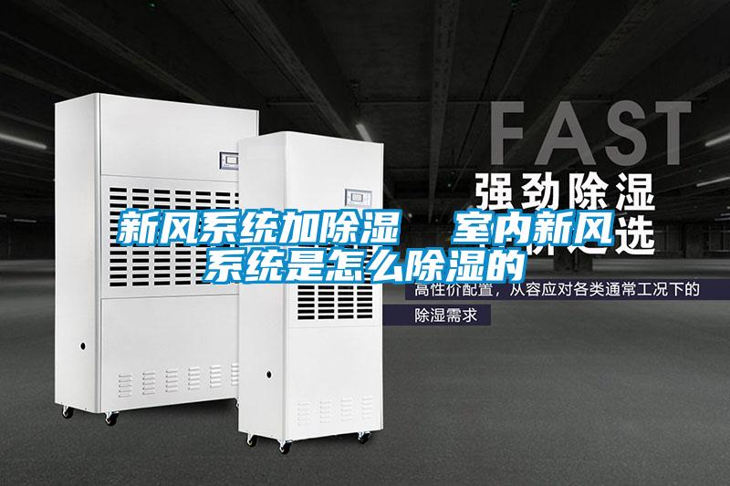 新風(fēng)系統(tǒng)加除濕  室內(nèi)新風(fēng)系統(tǒng)是怎么除濕的