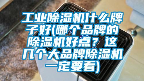 工業(yè)除濕機(jī)什么牌子好(哪個(gè)品牌的除濕機(jī)好點(diǎn)？這幾個(gè)大品牌除濕機(jī)一定要看)
