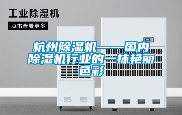 杭州除濕機(jī)——國(guó)內(nèi)除濕機(jī)行業(yè)的一抹艷麗色彩