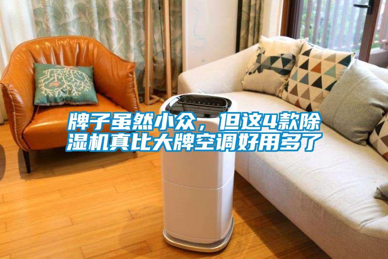 牌子雖然小眾，但這4款除濕機(jī)真比大牌空調(diào)好用多了