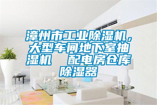 漳州市工業(yè)除濕機(jī)，大型車間地下室抽濕機(jī)  配電房倉庫除濕器