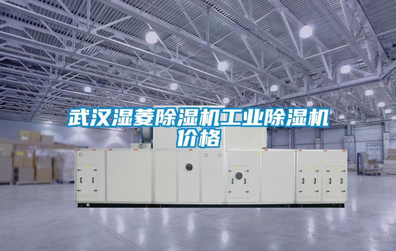 武漢濕菱除濕機(jī)工業(yè)除濕機(jī)價格