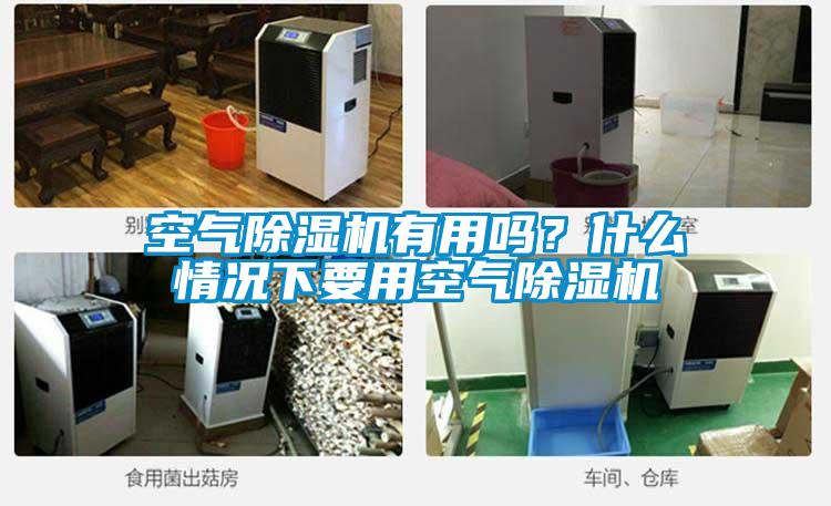 空氣除濕機有用嗎？什么情況下要用空氣除濕機