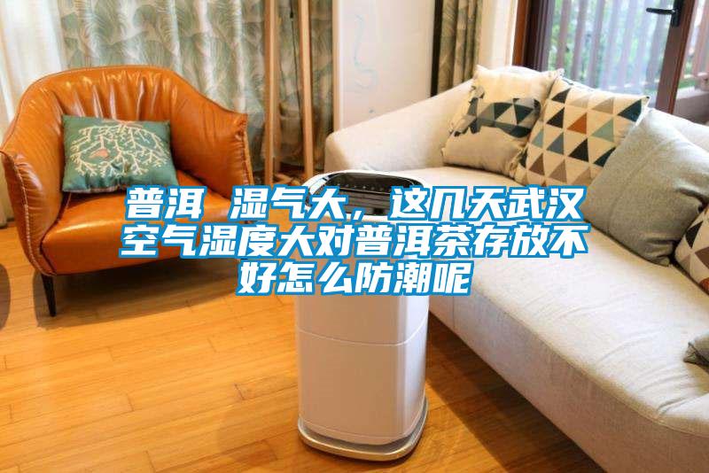 普洱 濕氣大，這幾天武漢空氣濕度大對普洱茶存放不好怎么防潮呢