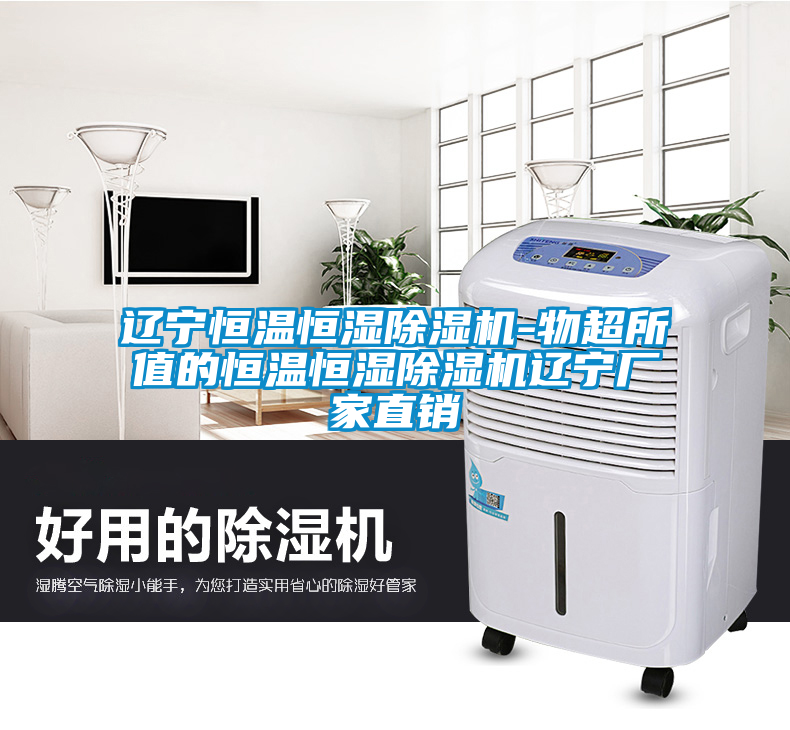 遼寧恒溫恒濕除濕機(jī)-物超所值的恒溫恒濕除濕機(jī)遼寧廠家直銷
