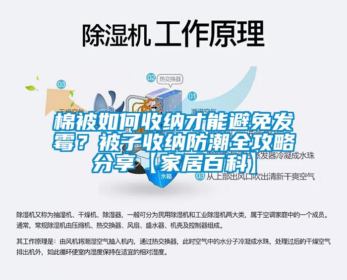 棉被如何收納才能避免發(fā)霉？被子收納防潮全攻略分享【家居百科】
