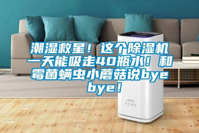 潮濕救星！這個除濕機一天能吸走40瓶水！和霉菌螨蟲小蘑菇說bye bye！