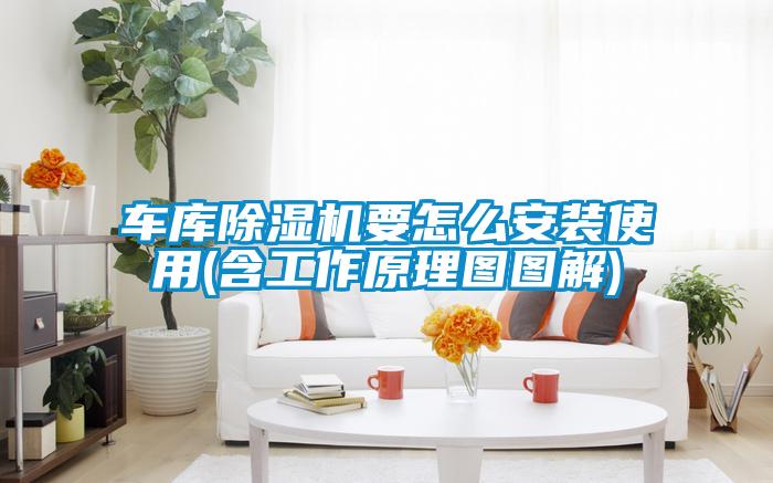 車庫(kù)除濕機(jī)要怎么安裝使用(含工作原理圖圖解)