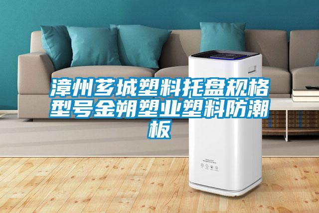 漳州薌城塑料托盤(pán)規(guī)格型號(hào)金朔塑業(yè)塑料防潮板