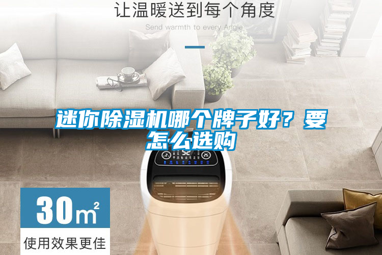 迷你除濕機哪個牌子好？要怎么選購