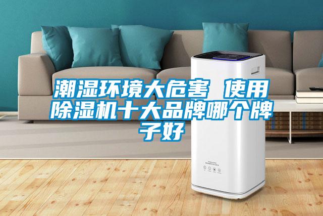 潮濕環境大危害 使用除濕機十大品牌哪個牌子好