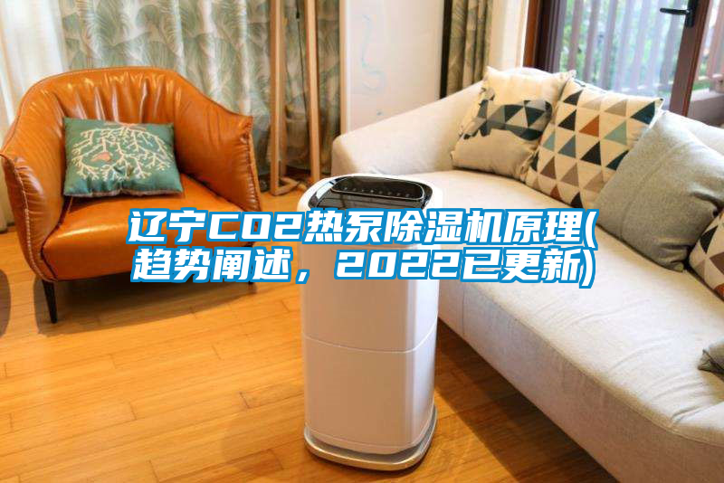 遼寧CO2熱泵除濕機(jī)原理(趨勢(shì)闡述，2022已更新)