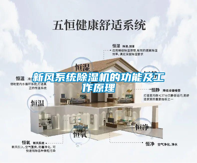 新風系統(tǒng)除濕機的功能及工作原理
