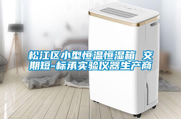 松江區(qū)小型恒溫恒濕箱 交期短-標承實驗儀器生產(chǎn)商