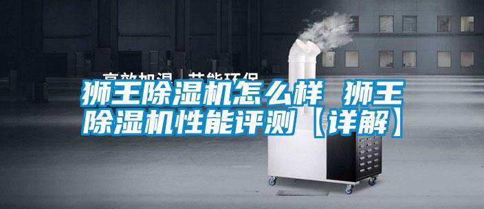 獅王除濕機(jī)怎么樣 獅王除濕機(jī)性能評測【詳解】