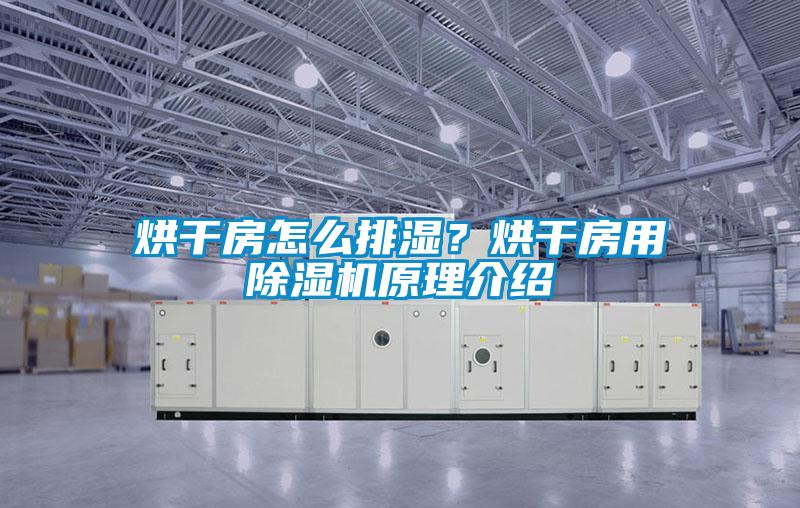 烘干房怎么排濕？烘干房用除濕機原理介紹