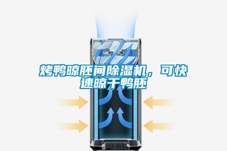 烤鴨晾胚間除濕機，可快速晾干鴨胚