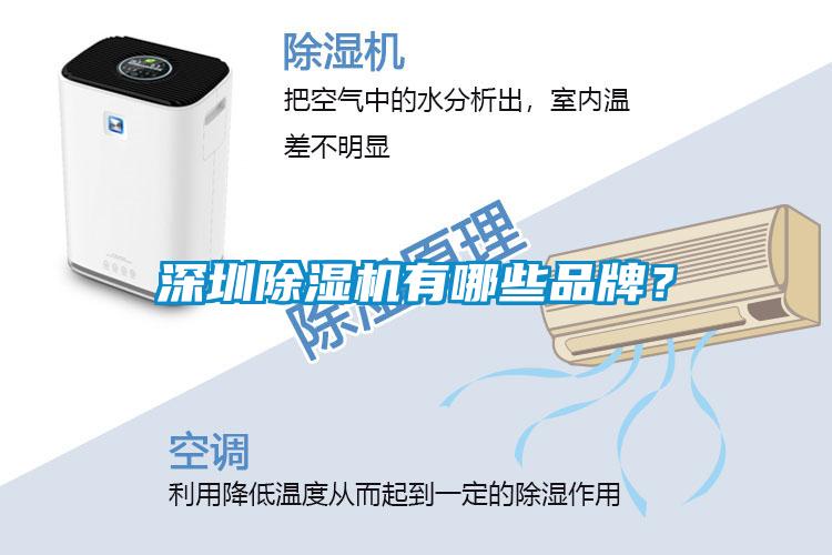 深圳除濕機(jī)有哪些品牌？